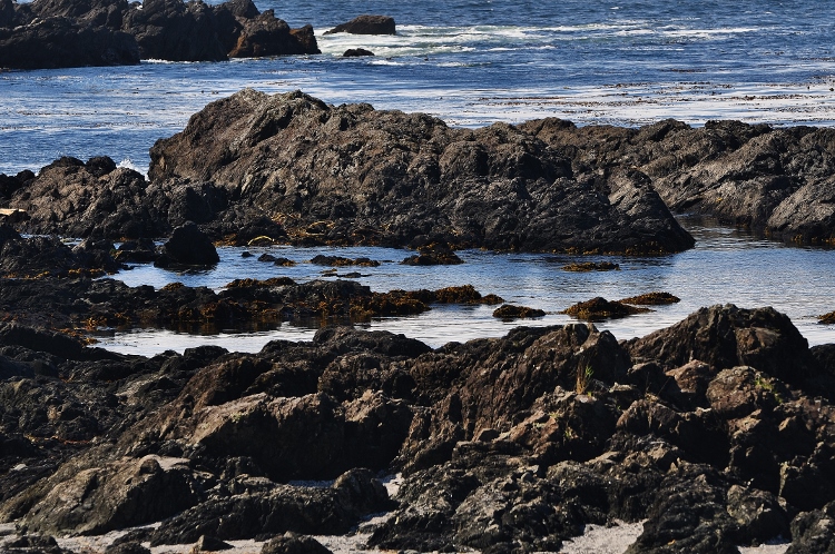 rocky beach